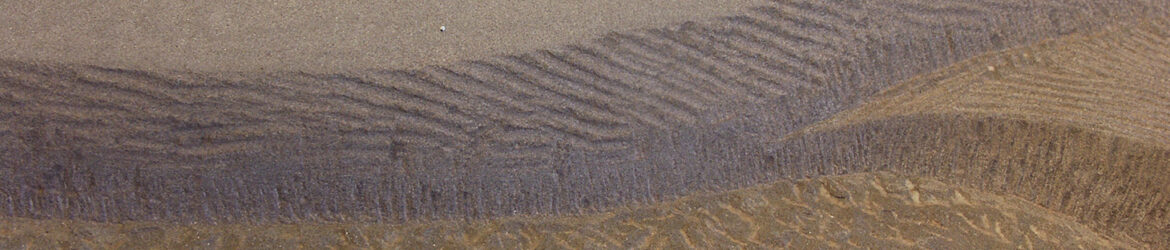 cropped-header.jpg